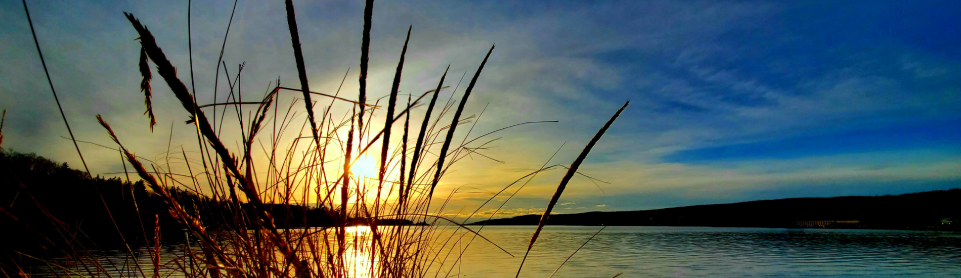 water landscape