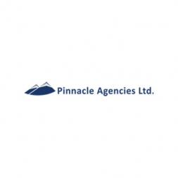 Pinnacle Agencies Ltd. Logo